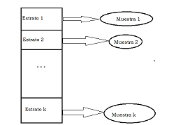 En el muestreo estratificado se eligen muestras diferentes de cada uno de los subconjuntos definidos en la población.